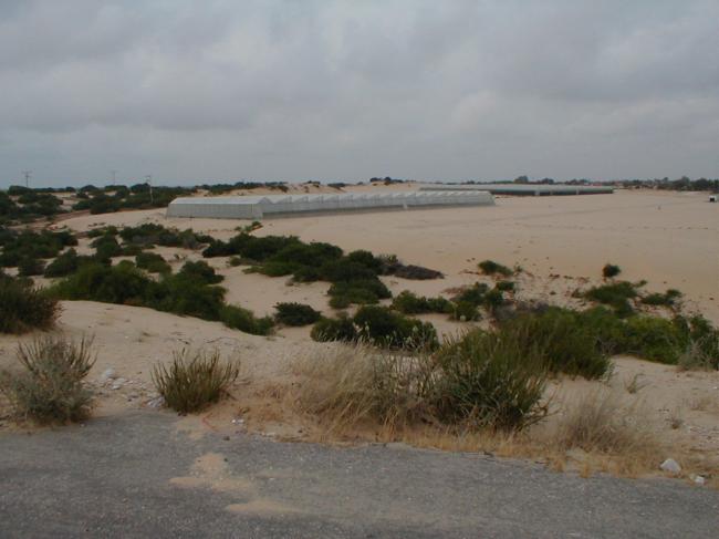 Serres du Goush Katif